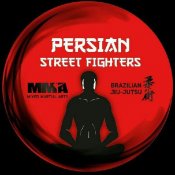 پرشین استریت فایترز (MMA / جوجیستوی برزیلی / موآی تای)