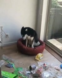 خرابکاری در بالاترین سطح