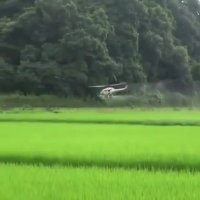 سمپاشی تخصصی | 09190445812