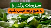 سبزیجات برگدار را به هیچ وجه خیس نکنید - سبزی را درست بشویید