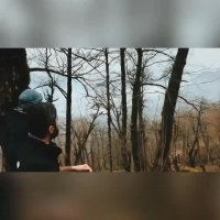 سفر کنیم به طبیعت زیبای شمال ایران