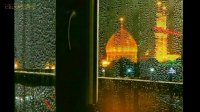 کلیپ اربعین امام حسین ع (دلتنگ زیارت کربلا)