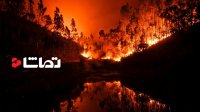 آتش سوزی در جنگل های پرتغال