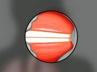 بهترین مجتمع گفتاردرمانی در کرج 09121623463|مهرشهر خیابان ارم فرعی رضوان