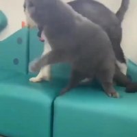 چرا یهو دعواشون شد؟