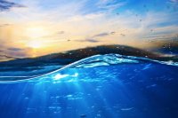 اگر آب دریاها تبدیل به آب شیرین شود چه اتفاقی می افتد؟