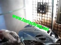 آبکاری پلی استر/فروش مواد ابکاری فانتاکروم09125371393