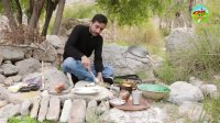 آشپزی در طبیعت.کشک و بادمجان تابه ای