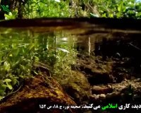 دولت روحانی  می خواهد در تلگرام اختلال ایجاد کند؟ + سند