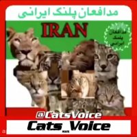 گربه سان سرزمین عزیزمان ایران را حفظ كنیم