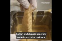 عقرب ماهی غذای لاکچری رستوران دریایی