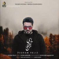 دانلود رمیکس  آهنگ تقویم شمسی از پدرام پالیز