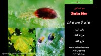 سم ضد کنه حرفه ای برای درختان | 100% تضمینی | Zorba