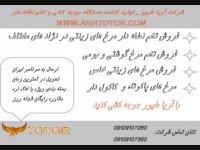 مرکز فروش تخم نطفه دار در ایران