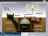 Biogas Plant تولید بیوگاز   2016