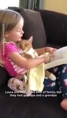 قصه خوندن بچه برای گربه