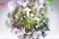 خواص چند گیاه مختلف