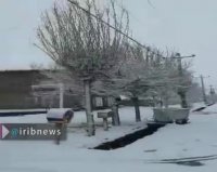 بارش برف در استان اردبیل