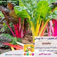 خرید اینترنتی میوه و سبزی با تخفیف