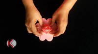 DIY, How To Make Rose Flower With Paper | کاردستی، ساخت گل گلاب با کاغذ