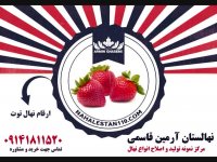 خرید نهال توت 09141811520