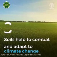 5 دلیل ارزشمندی زمین زیر پای ما