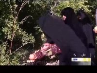 کشت 24 نوع انار در سنگان