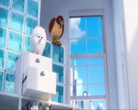 انیمیشن  زندگی مخفی حیوانات خانگی 1 - The Secret Life Of Pets1 (رایگان )