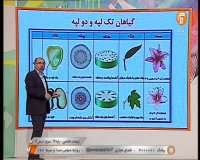 کلاس درس زیست شناسی 3 (مرور درس 6) پایه دوازدهم