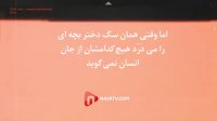 قلاده ای برای...