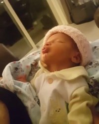 لب هاش غنچه می مونه