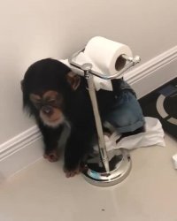 می خواد خودشو مومیایی کنه !