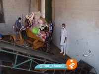 لحظه امحا دو تن گوشت در اصفهان با ذبح غیرشرعی و لیبل تقلبی