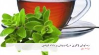 دمنوشی معجزه آسا برای لاغری و خوش اندام شدن !