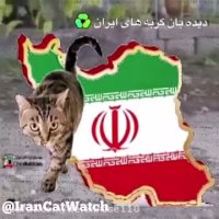 عجب مرغ زبلى ماشاالله