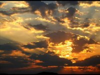 موسیقی نشاط بخش