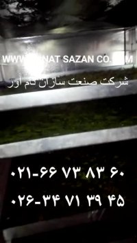 خشک کن میوه و سبزیجات کابینی