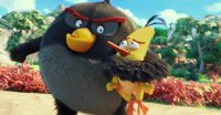 تریلر شخصیت "Bomb" در "angry birds"