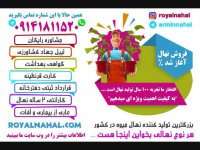 خرید نهال سیب - فروش نهال سیب - قیمت نهال سیب / 09141811520