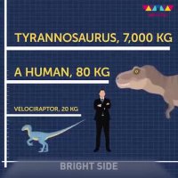 دایناسورها چقدر بزرگ بودند؟