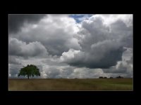 Tak Derakhty Tak Derakht Tak Derakhti     مهدی مقدم     تک درختی