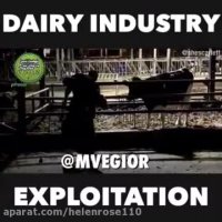 پسر شیر خواره ام را ازمن جدا نكنید او را نكشید