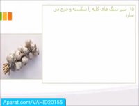 فواید سیر خوردن برای بدن انسان