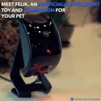 تکنولوژی " بازی با گربه "