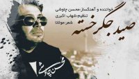 آهنگ صید جگر خسته از محسن چاوشی