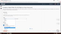 آموزش Cpanel - فیلتر ایمیل Global Email Filters