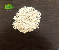 صادرات لوبیا سفید