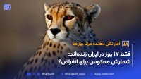 فقط 17 یوز در ایران زنده اند شمارش معکوس برای انقراض؟