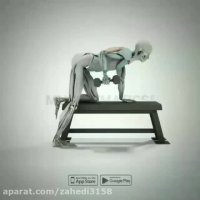 آرنولدشو. آموزش حرکت پشت بازو در بدنسازی