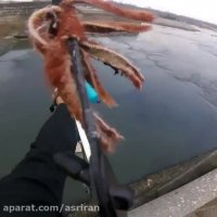 ماهیگیری منحصر به فرد با تیر و کمان